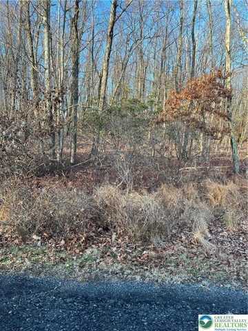 3 Apple Lane, Penn Forest Twp, PA 18229