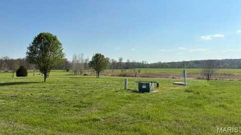 8 Riverside Place, Troy, MO 63379