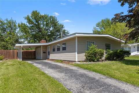 815 Saint Anthony Lane, Florissant, MO 63033