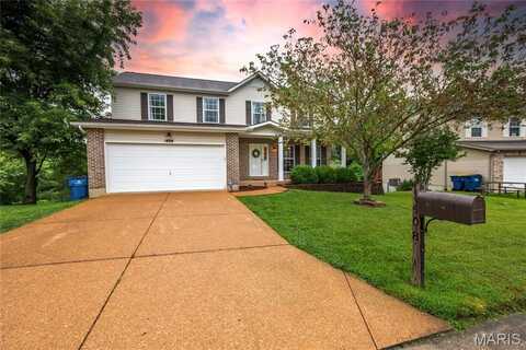 1408 Glacier Pass, Festus, MO 63028