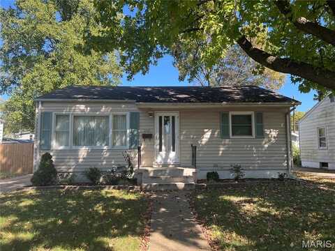 1717 Spring Avenue, Granite City, IL 62040