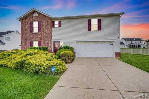 243 Edbrooke Drive, Belleville, IL 62221