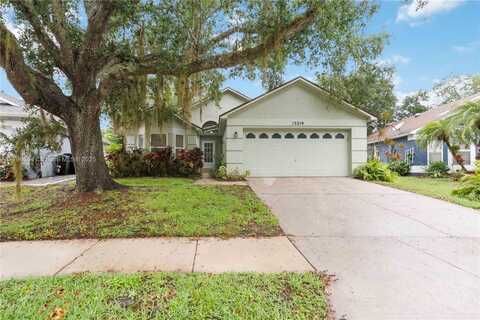 13219 Meadowlark Ln, Orlando, FL 32828