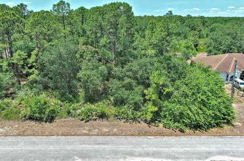 1305 WELLINGTON AVE, Lehigh Acres, FL 33972