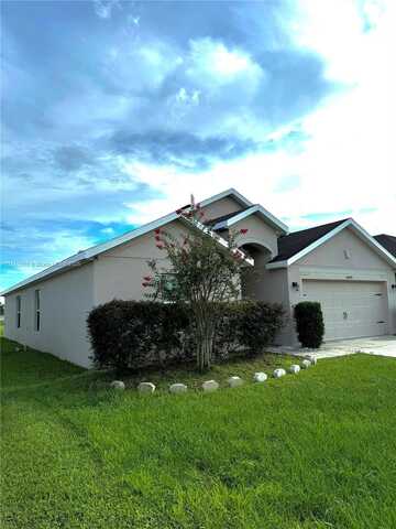 30894 water lily, Other City - In The State Of Florida, FL 34602