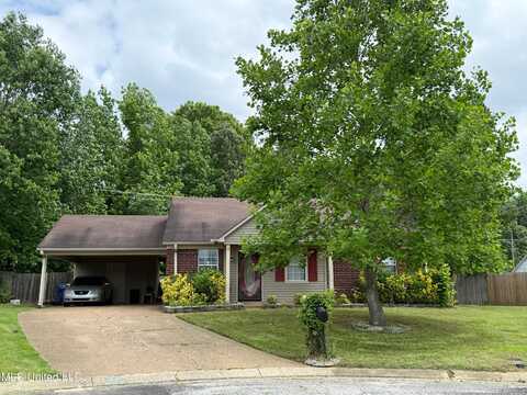 2515 Bryce Cove, Horn Lake, MS 38637