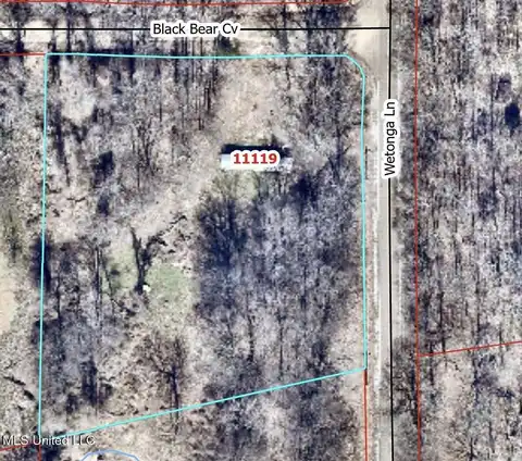 11119 Black Bear Cove, Hernando, MS 38632