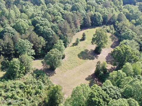 271 Winborn Tower Road, Potts Camp, MS 38659