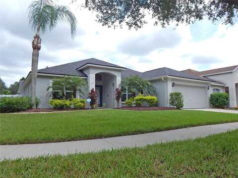 5815 HERONVIEW CRESCENT DRIVE, LITHIA, FL 33547