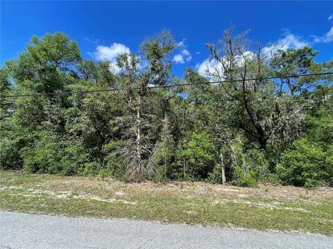 5305 N WESTERN DRIVE, HERNANDO, FL 34442