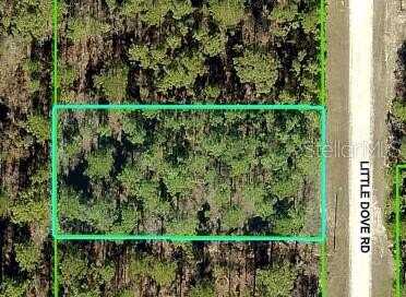 16433 LITTLE DOVE ROAD, WEEKI WACHEE, FL 34614