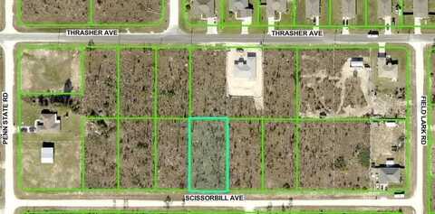 SCISSORBILL AVENUE, BROOKSVILLE, FL 34614