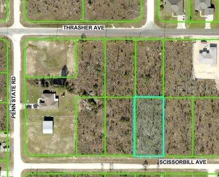 SCISSORBILL AVENUE, BROOKSVILLE, FL 34614