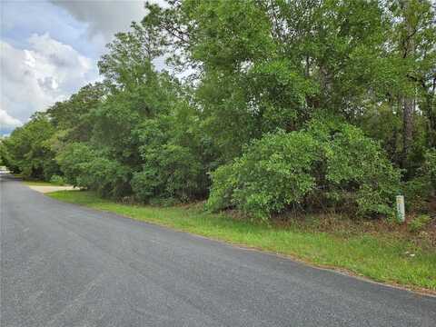 Tbd SE 28TH STREET, MORRISTON, FL 32668