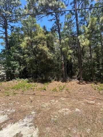 557 W ANDERSON LANE, CITRUS SPRINGS, FL 34434