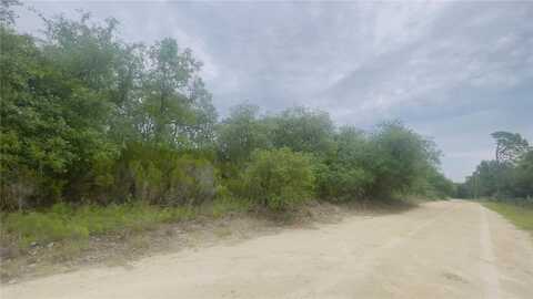 Lot 115 NE 87TH PL, BRONSON, FL 32621