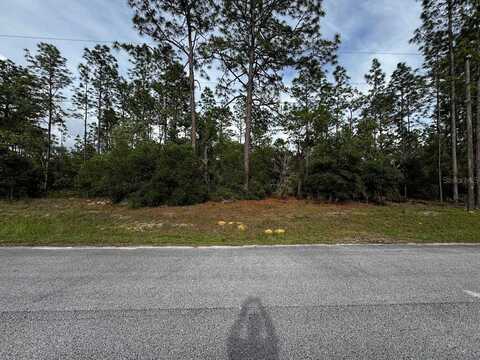 SW 207TH COURT, DUNNELLON, FL 34432