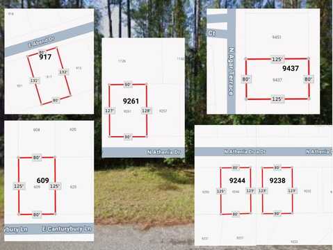 9238 N ATHENIA DRIVE, CITRUS SPRINGS, FL 34434