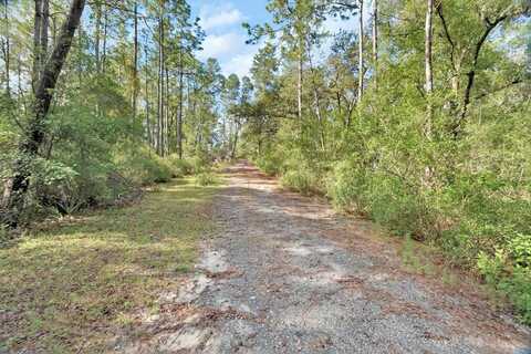 1183 ANTILLA STREET, LAKE HELEN, FL 32744
