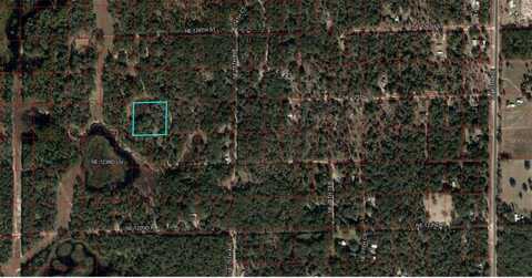 Lot 110 &111 NE 125TH ST, BRONSON, FL 32621