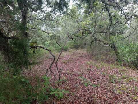 34398 CORNERSTONE DRIVE, WEBSTER, FL 33597