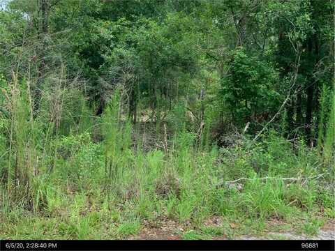 10603 NE 90TH STREET, GAINESVILLE, FL 32609