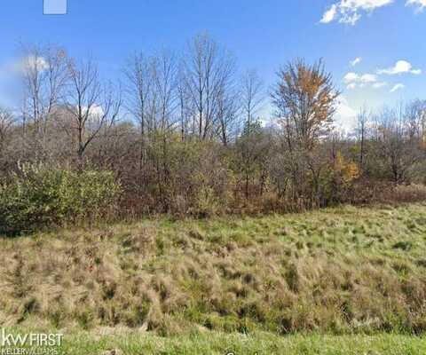 0 Van Vleet, Swartz Creek, MI 48436