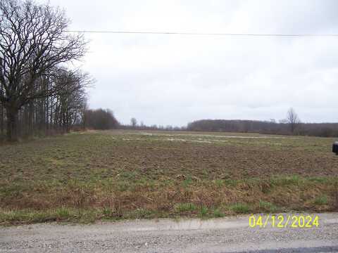 vacant Kilgore, Avoca, MI 48006