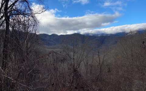 Lot J4 Buck Naked, BRYSON CITY, NC 28713