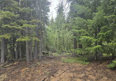 5 Royce Pine Road, Crescent Lake, OR 97733