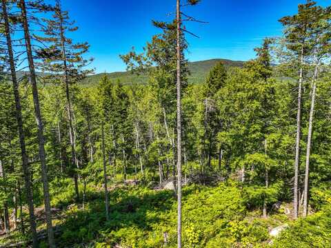 Lot 39 Sawyer Brook Road, Andover, ME 04216
