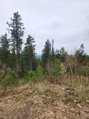 14 Aventure Loop, Lead, SD 57754