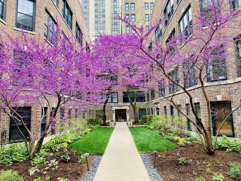 2315 N Commonwealth Avenue, Chicago, IL 60614