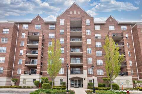 390 W Mahogany Court, Palatine, IL 60067