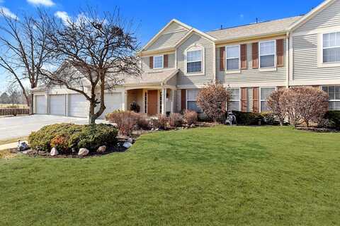 13922 S Bristlecone Drive, Plainfield, IL 60544