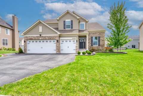 1302 Goldfield Lane, Joliet, IL 60431