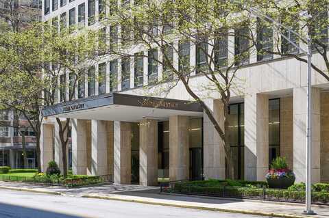 260 E Chestnut Street, Chicago, IL 60611