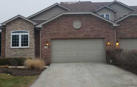 59 Olympus Drive, Tinley Park, IL 60477