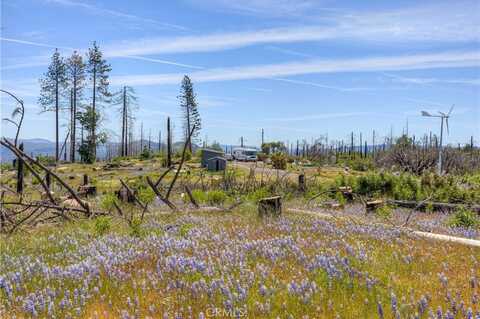 49 Indian Cemetery Road, Berry Creek, CA 95916