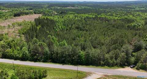Lot 1 County Road 40, Fruithurst, AL 36262