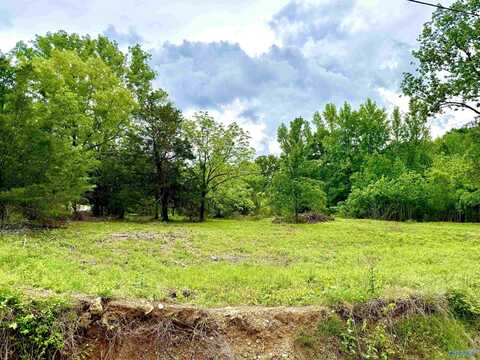 741 County Road 325, Moulton, AL 35650