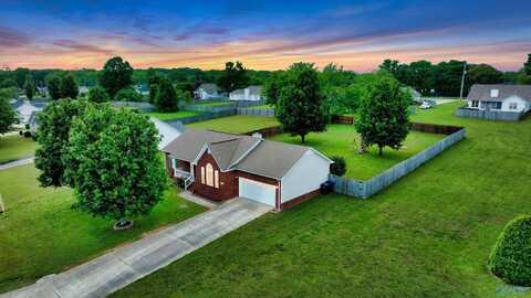 123 Turtle Ridge Drive, New Market, AL 35761