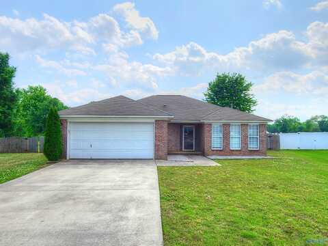 241 Misty Cove Court, New Market, AL 35761