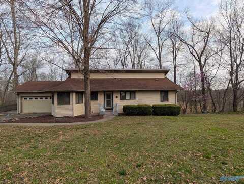 305 NE Riverside Drive, Huntsville, AL 35811