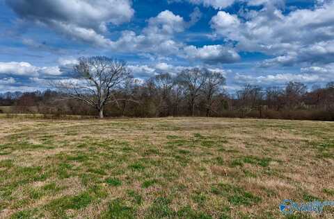 17 Acres County Road 656, Anderson, AL 35610