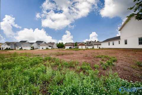 141 Steiner Street, Madison, AL 35756
