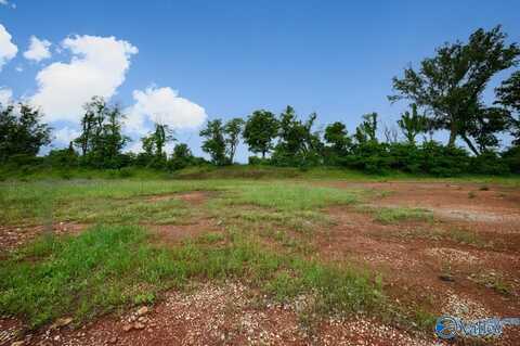 164 Knockash Hill, Madison, AL 35756