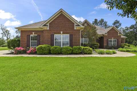 255 Waterbrook Lane, Harvest, AL 35749