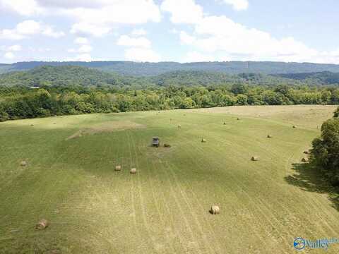 50 Acres County Road 494, Bryant, AL 35958