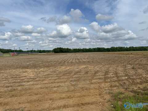 12 Acres Hwy 43, Florence, AL 35634